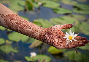 henna-lotos